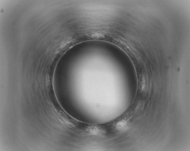X0000089940704200706291223