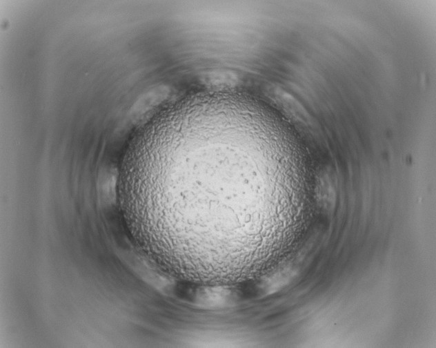 X0000089940717200706291222