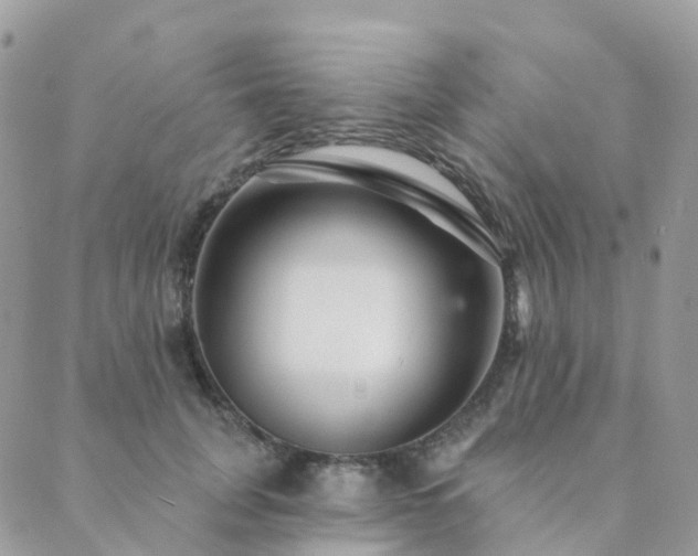 X0000089940751200706291222