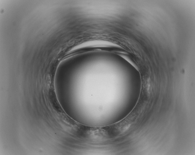 X0000089940752200706291222