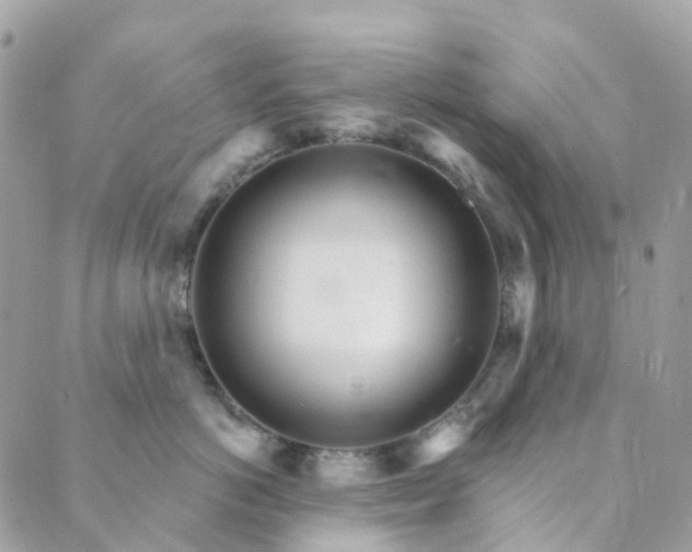 X0000089940766200706291222