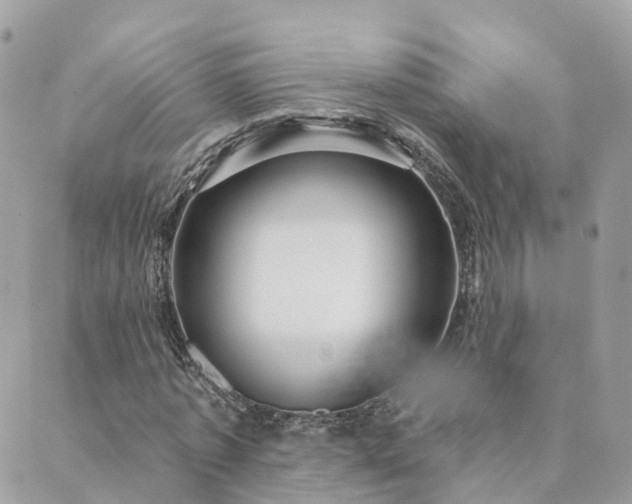 X0000089940773200706291221