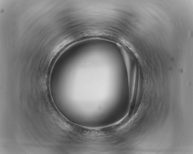 X0000089940786200706291221