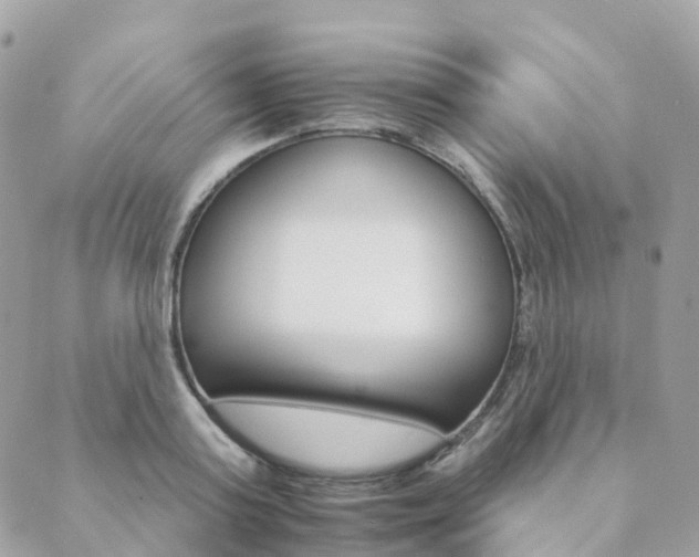 X0000089940795200706291221
