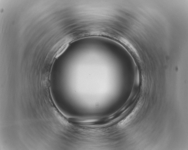 X0000089940801200706291221