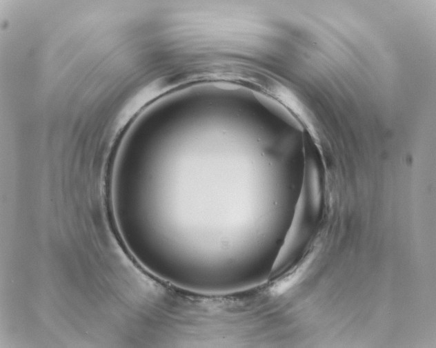 X0000089940803200706291221