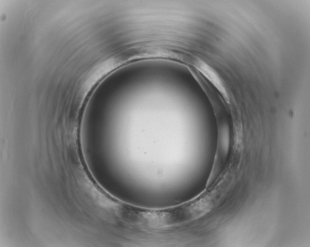 X0000089940805200706291221