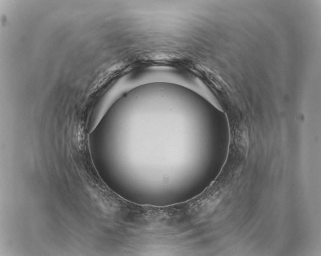 X0000089940818200706291220
