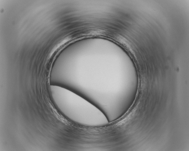 X0000089940827200706291220