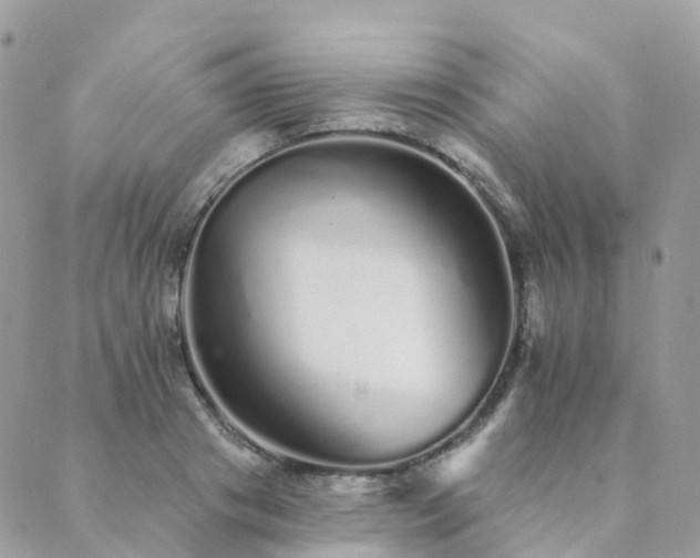 X0000089940841200706291220