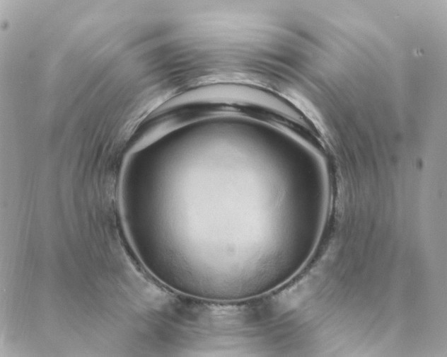 X0000089940849200706291220