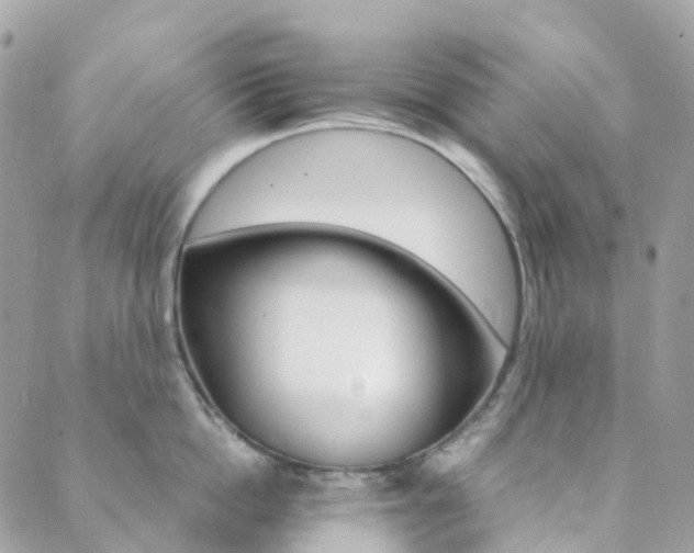 X0000089940862200706291221