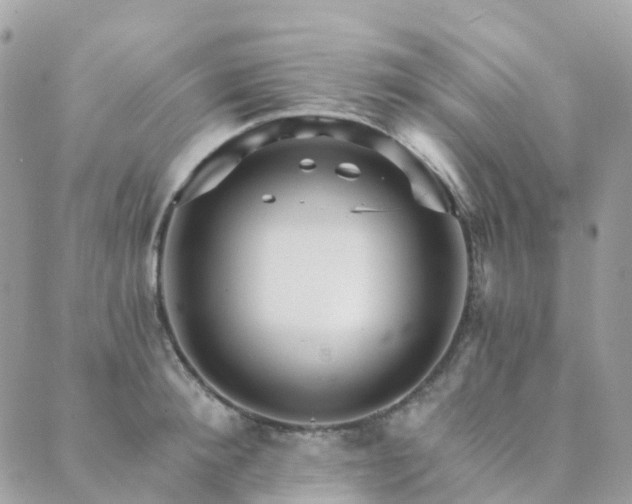 X0000089940900200706291219