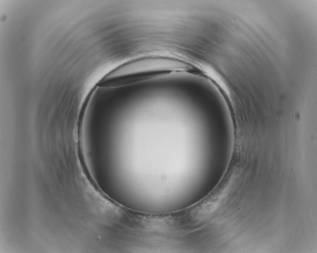 X0000089940951200706291219