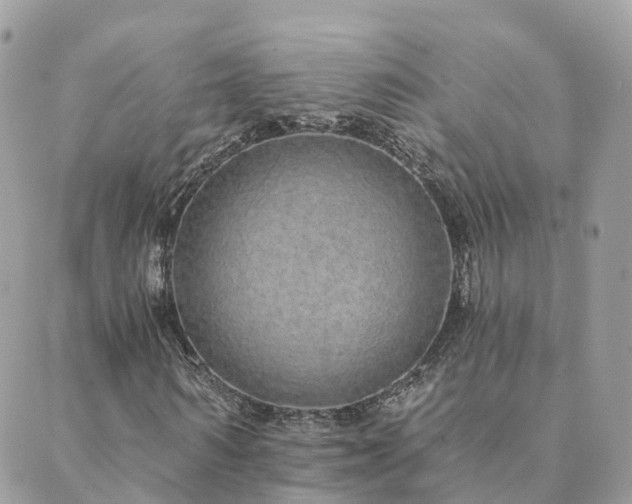 X0000089940962200706291218
