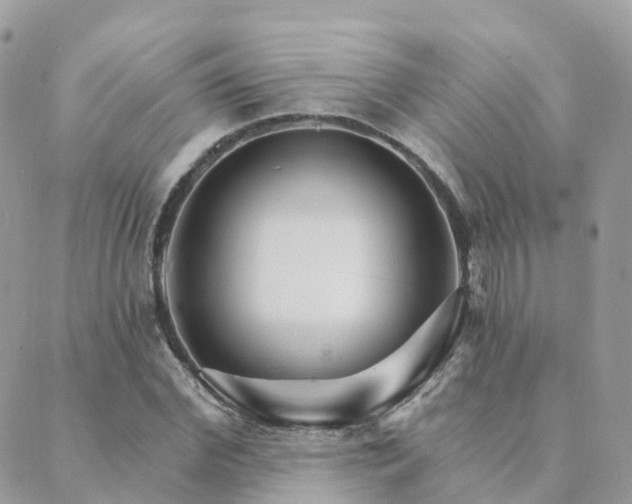 X0000089940972200706291218
