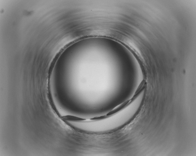 X0000089940992200706291218