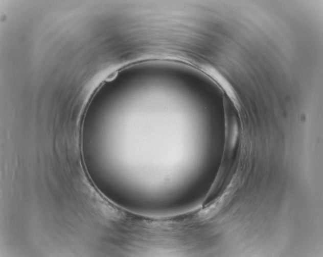 X0000089941004200706291218