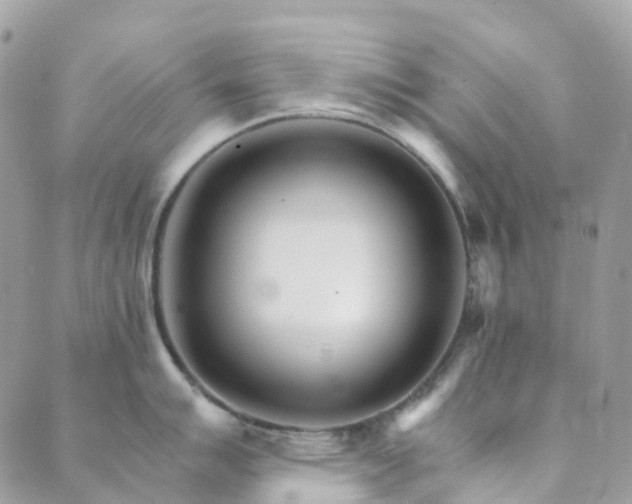 X0000089941007200706291218