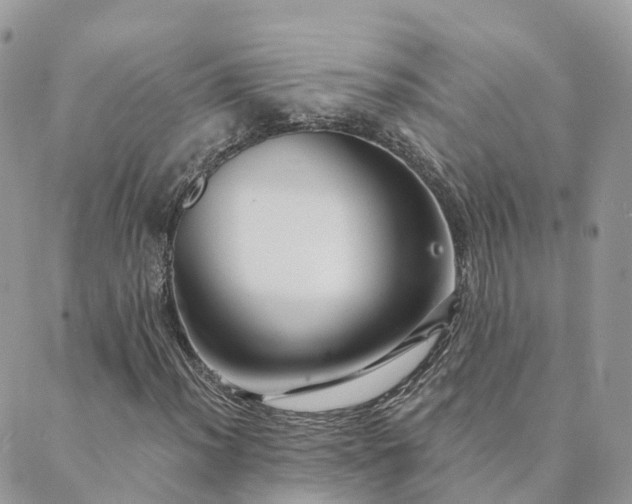 X0000089941012200706291217