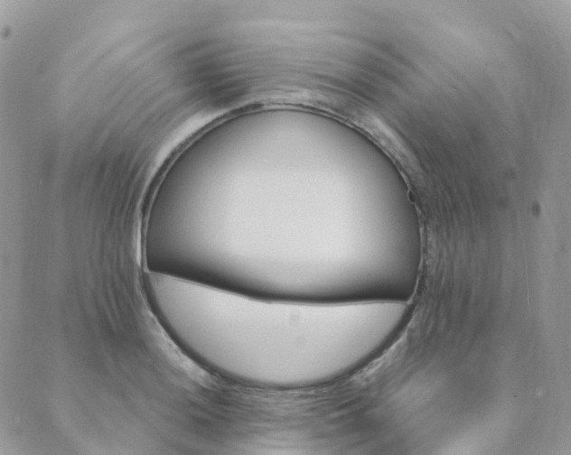 X0000089941036200706291217