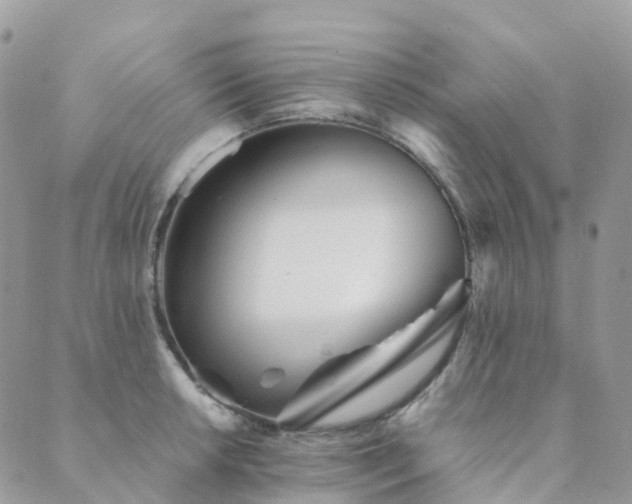 X0000089941042200706291217