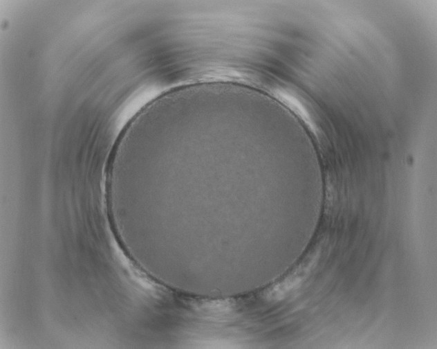 X0000089941047200706291217