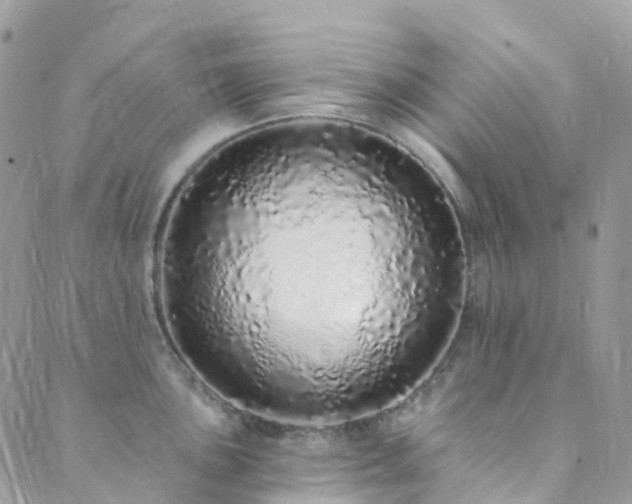 X0000089941051200706291218
