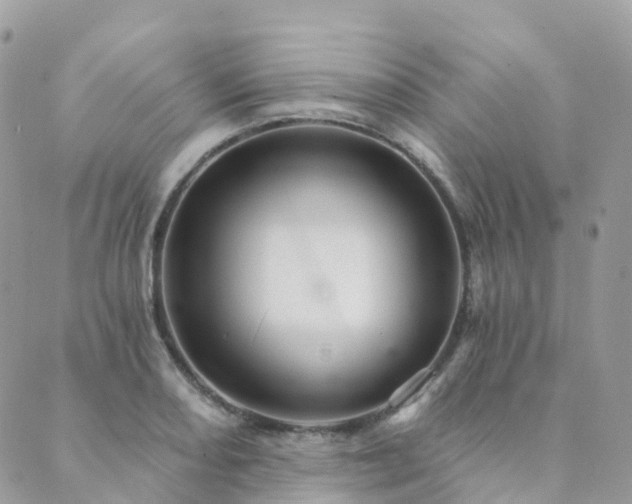 X0000089941082200706291216