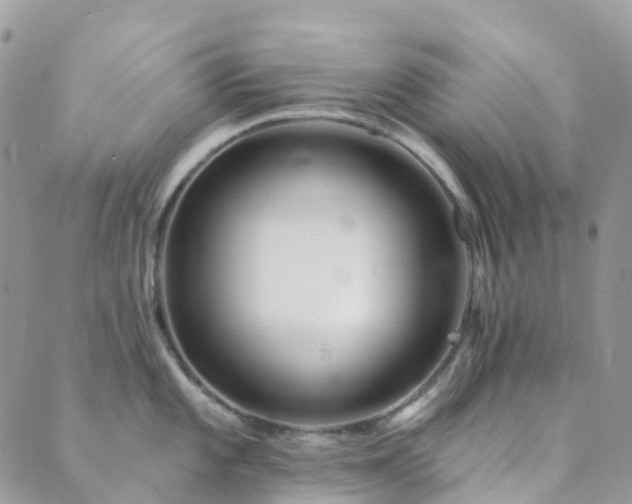 X0000089941101200706291216