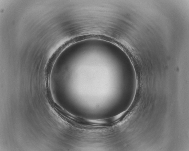 X0000089941118200706291216