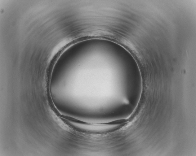 X0000089941122200706291216