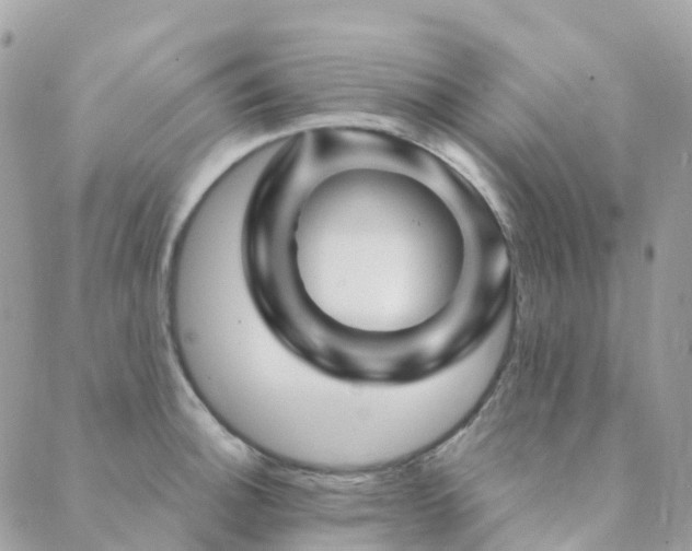 X0000089941140200706291216