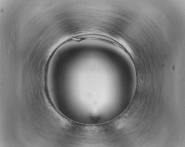 X0000089941142200706291216