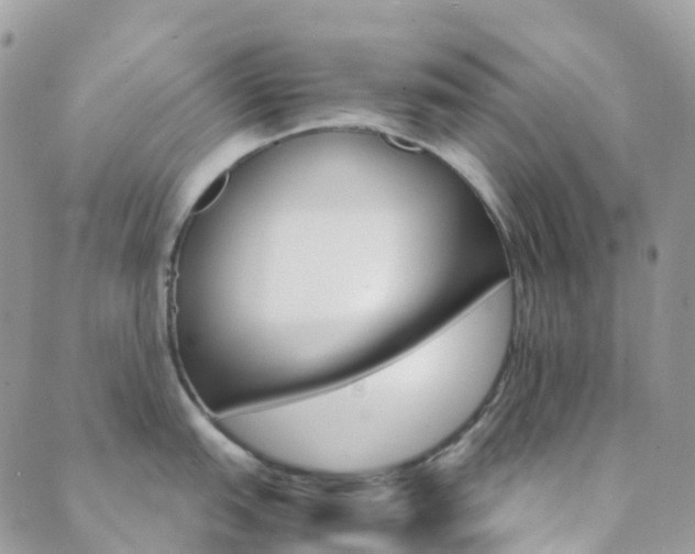 X0000089941151200706291216