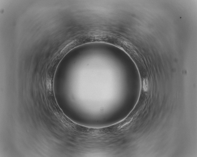 X0000089941155200706291215