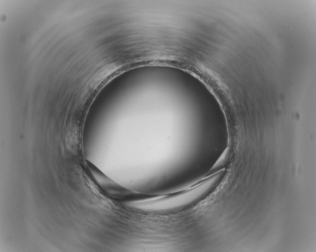 X0000089941169200706291215