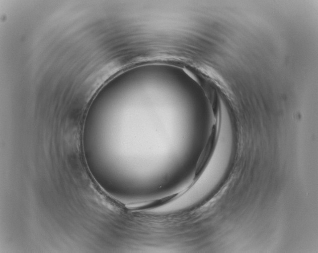 X0000089941177200706291215