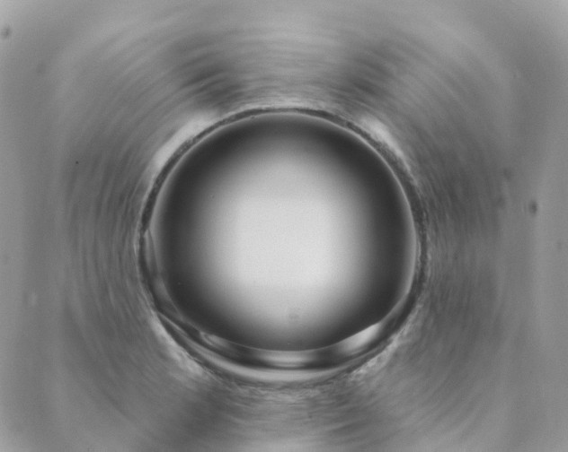 X0000089941181200706291215