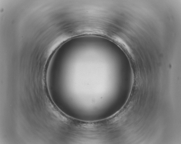 X0000089941182200706291215