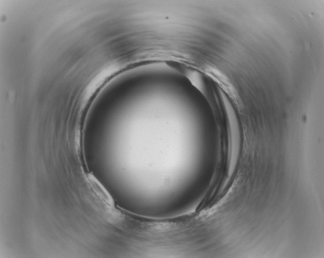 X0000089941188200706291215