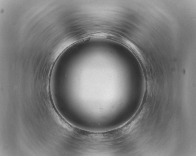 X0000089941194200706291215