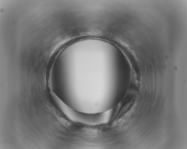 X0000089941214200706291214