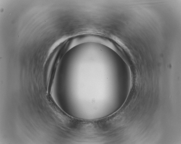 X0000089941222200706291214