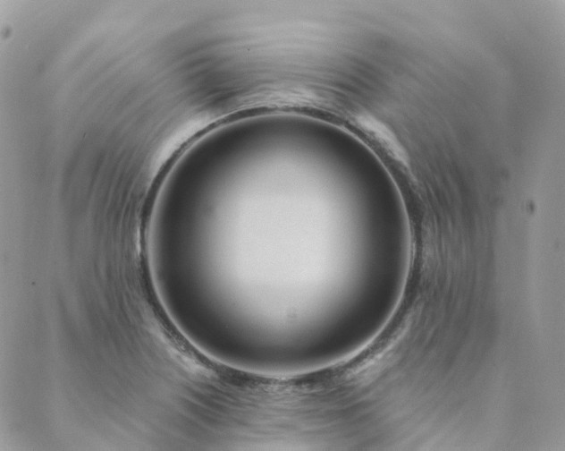 X0000089941226200706291214