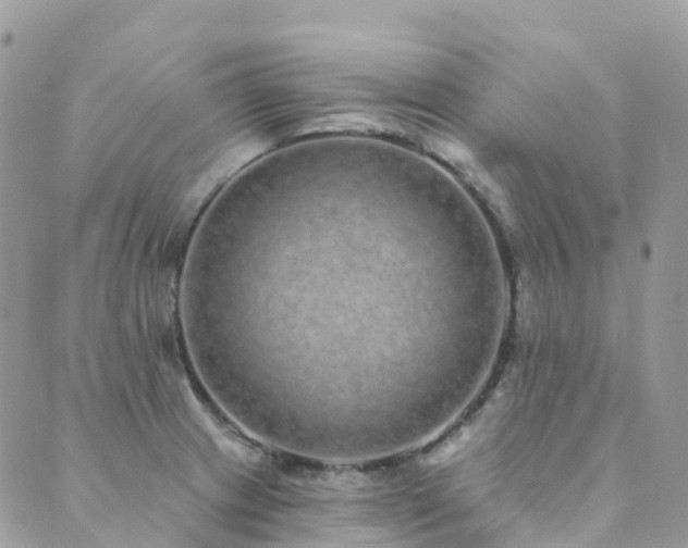 X0000089941233200706291214