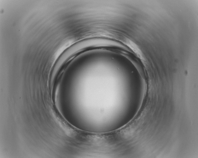 X0000089941234200706291214