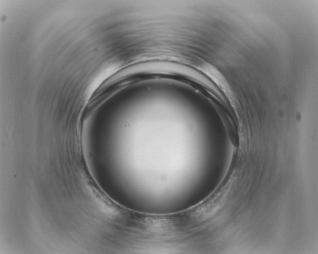 X0000089941242200706291214