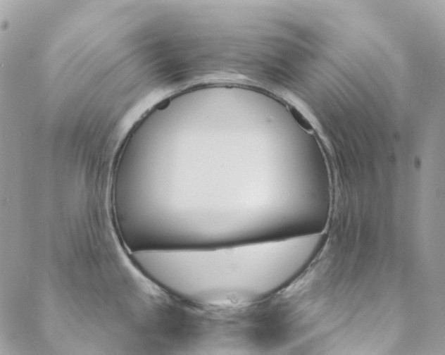 X0000089941245200706291214