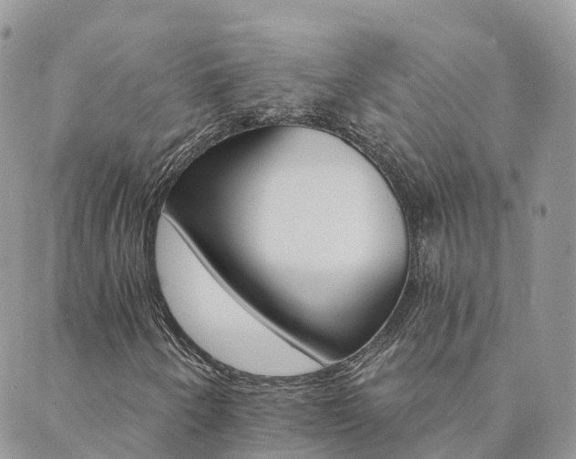 X0000089941250200706291214